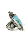 Kingman Turquoise Ring Size 8 - Adjustable by Albert Jake (RG7295)