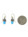 Sleeping Beauty Turquoise Dangle Earrings (ER7276)