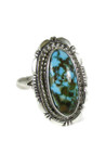 Sonoran Turquoise Ring Size 8 by Ty Francisco (RG8001) 