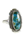 Sonoran Turquoise Ring Size 9 by Ty Francisco (RG8005)