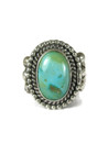 Sonoran Turquoise Ring Size 9 (RG6605)
