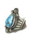 Kingman Turquoise Ring Size 9 by Albert Jake (RG6611)