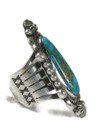 Turquoise Mountain Ring Size 9 by Albert Jake (RG6617)