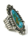 Turquoise Mountain Ring Size 9 by Albert Jake (RG6617)