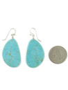Turquoise Slab Earrings (ER9121)