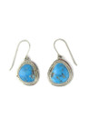 White Water Turquoise Earrings by Lyle Piaso (ER6383)