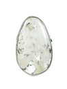White Buffalo Ring Size 7 by Burt Francisco (RG9322)