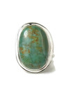 Sonoran Turquoise Ring Size 8 1/2 by Lucy Valencia (RG9354) 