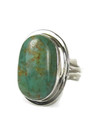 Sonoran Turquoise Ring Size 8 1/2 by Lucy Valencia (RG9354) 