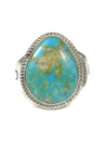 Turquoise Mountain Ring Size 13 1/4 by Edison Gruber (RG9356)