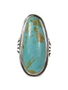 Tyrone Turquoise Ring Size 9 by Burt Francisco (RG9361)