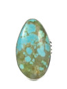 Tyrone Turquoise Ring Size 7 by Jake Sampson (RG9481) 