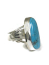 Turquoise Mountain Ring Size 9 by Jake Sampson (RG9518) 