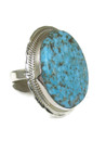 Large Kingman Turquoise Ring Size 10 1/4 by Jake Sampson (RG9495)