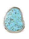 Large Kingman Turquoise Ring Size 10 by Jake Sampson (RG9535)