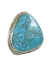 Large Kingman Turquoise Ring Size 10 by Jake Sampson (RG9536)