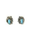 Sleeping Beauty Turquoise Silver Post Earrings (ER6565)
