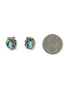 Sleeping Beauty Turquoise Silver Post Earrings (ER6565)