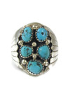 Kingman Turquoise Cluster Ring Size 12 1/4 (RG9453)