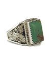 Emerald Valley Turquoise Ring Size 12 (RG9478)