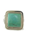 Blue Ridge Turquoise Ring Size 11 by Phillip Sanchez (RG9574)