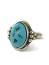 Kingman Turquoise & Sterling Silver Navajo Ring Size 7 (RG9586)