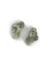 Golden Hills Turquoise Cluster Earrings by Angela Martin (ER6215)