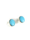 Kingman Turquoise Post Earrings (ER5649)