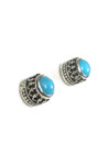 Sleeping Beauty Turquoise Gallery Wire Post Earrings (ER5681)