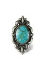 Kingman Turquoise Ring Size 7 by Albert Jake (RG5183)