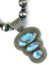 Golden Hills Turquoise Necklace Set by Albert Jake (NK4934)