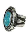 Pilot Mountain Turquoise Ring Size 8 by Cooper Willie (RG6031)