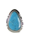 Kingman Turquoise Ring Size 9 by Larson Lee (RG7017)