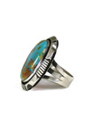 Royston Turquoise Ring Size 8 by Cooper Willie (RG7038)