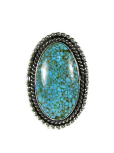 Kingman Turquoise Ring Size 9 by Linda Yazzie (RG7271)