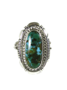 Sonoran Turquoise Ring Size 7 by Ty Francisco (RG7299)