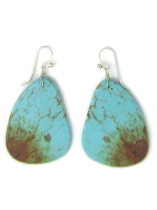 Turquoise Slab Earrings (ER9117)