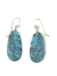 Turquoise Slab Earrings (ER9133)
