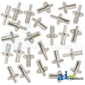 Rivet; Brazier Head, .250" X .531" A-RVT531