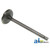 Valve, Intake A-1884123M1
