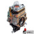Complete Carburetor A-B1WWYJ250