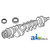 Crankshaft w/o Bearings A-3110995R91