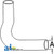 Radiator Hose, Lower A-70233431