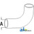 Radiator Hose, Lower A-A59865