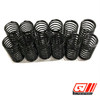 Big Bore Low Frequency Spring Kit