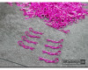 Bittydesign 1/10 Body Clips (Pink)