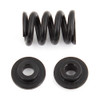 B6.1/B6.1D Slipper Spring Set