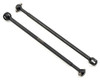 CVA Bone T5M
