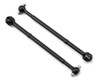 Associated CVA Bone B5