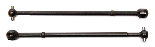 CVA Bone T5M